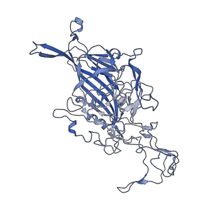 7302_6bx1_A_v1-0
Atomic resolution structure of human bufavirus 3