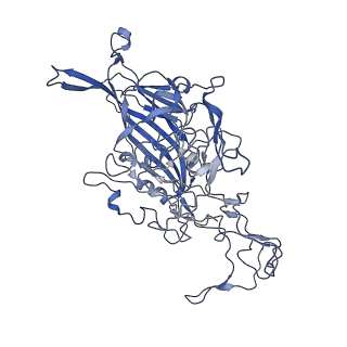 7302_6bx1_A_v1-1
Atomic resolution structure of human bufavirus 3