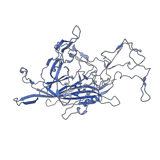 7302_6bx1_B_v1-0
Atomic resolution structure of human bufavirus 3