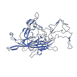 7302_6bx1_B_v1-1
Atomic resolution structure of human bufavirus 3