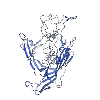 7302_6bx1_C_v1-0
Atomic resolution structure of human bufavirus 3