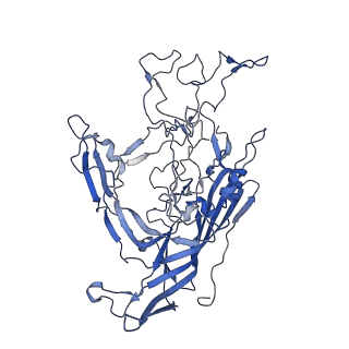 7302_6bx1_C_v1-1
Atomic resolution structure of human bufavirus 3