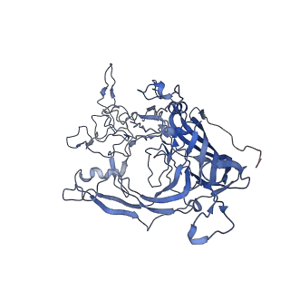 7302_6bx1_D_v1-0
Atomic resolution structure of human bufavirus 3
