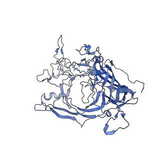 7302_6bx1_D_v1-1
Atomic resolution structure of human bufavirus 3