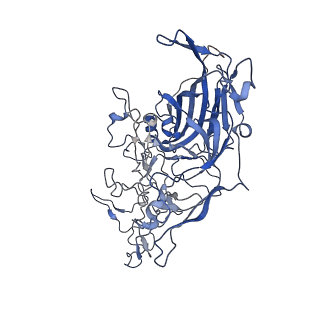 7302_6bx1_E_v1-0
Atomic resolution structure of human bufavirus 3