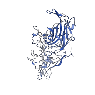 7302_6bx1_E_v1-1
Atomic resolution structure of human bufavirus 3