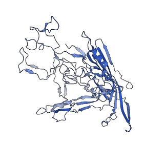 7302_6bx1_F_v1-0
Atomic resolution structure of human bufavirus 3