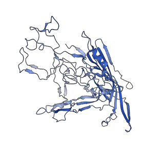 7302_6bx1_F_v1-1
Atomic resolution structure of human bufavirus 3