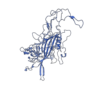 7302_6bx1_G_v1-0
Atomic resolution structure of human bufavirus 3
