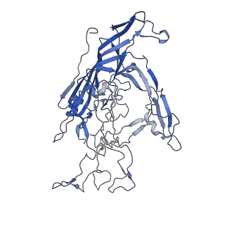 7302_6bx1_H_v1-0
Atomic resolution structure of human bufavirus 3