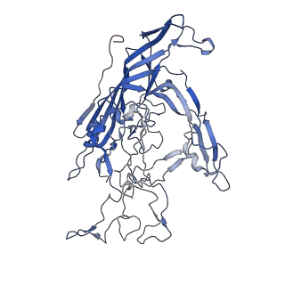 7302_6bx1_H_v1-1
Atomic resolution structure of human bufavirus 3