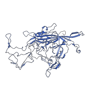 7302_6bx1_I_v1-0
Atomic resolution structure of human bufavirus 3