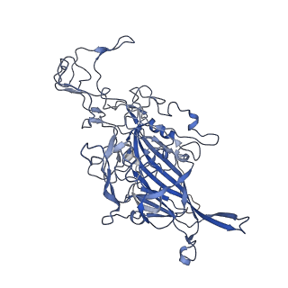 7302_6bx1_J_v1-0
Atomic resolution structure of human bufavirus 3