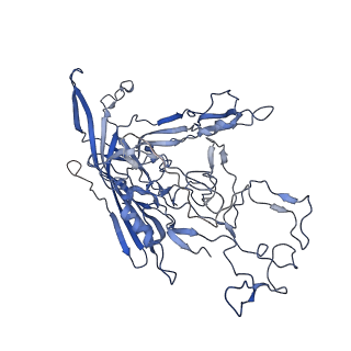 7302_6bx1_K_v1-0
Atomic resolution structure of human bufavirus 3