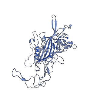 7302_6bx1_L_v1-0
Atomic resolution structure of human bufavirus 3