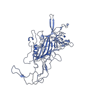 7302_6bx1_L_v1-1
Atomic resolution structure of human bufavirus 3