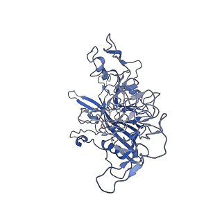 7302_6bx1_M_v1-0
Atomic resolution structure of human bufavirus 3