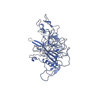 7302_6bx1_M_v1-1
Atomic resolution structure of human bufavirus 3