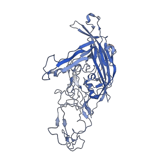 7302_6bx1_N_v1-1
Atomic resolution structure of human bufavirus 3