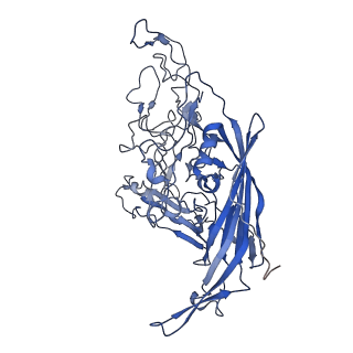 7302_6bx1_O_v1-1
Atomic resolution structure of human bufavirus 3