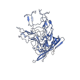 7302_6bx1_P_v1-0
Atomic resolution structure of human bufavirus 3