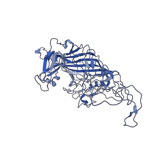 7302_6bx1_Q_v1-0
Atomic resolution structure of human bufavirus 3