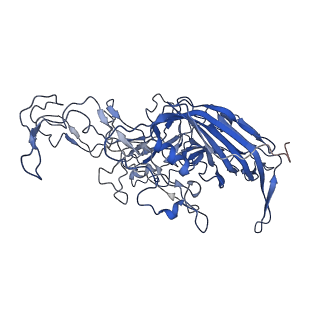 7302_6bx1_T_v1-0
Atomic resolution structure of human bufavirus 3