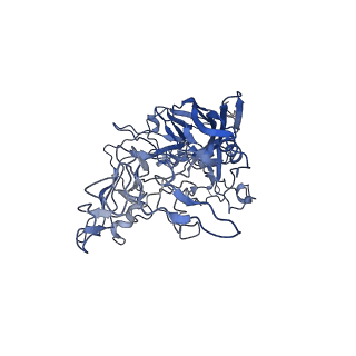 7302_6bx1_U_v1-0
Atomic resolution structure of human bufavirus 3