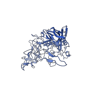 7302_6bx1_U_v1-1
Atomic resolution structure of human bufavirus 3