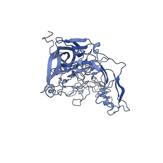 7302_6bx1_V_v1-0
Atomic resolution structure of human bufavirus 3