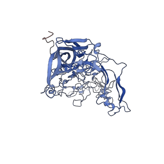 7302_6bx1_V_v1-1
Atomic resolution structure of human bufavirus 3