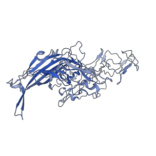 7302_6bx1_W_v1-0
Atomic resolution structure of human bufavirus 3
