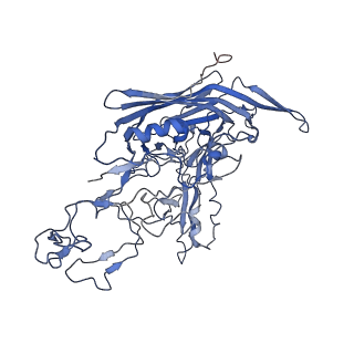 7302_6bx1_X_v1-0
Atomic resolution structure of human bufavirus 3