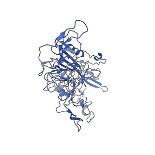 7302_6bx1_Y_v1-0
Atomic resolution structure of human bufavirus 3