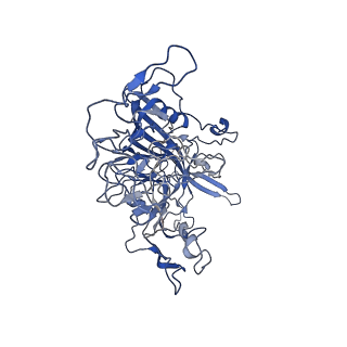 7302_6bx1_Y_v1-1
Atomic resolution structure of human bufavirus 3