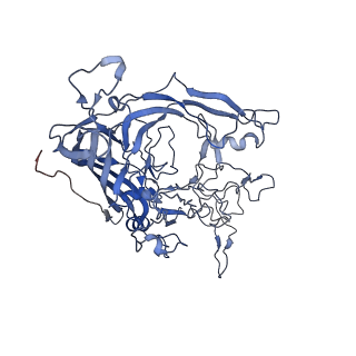 7302_6bx1_Z_v1-0
Atomic resolution structure of human bufavirus 3