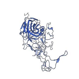 7302_6bx1_a_v1-0
Atomic resolution structure of human bufavirus 3