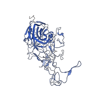 7302_6bx1_a_v1-1
Atomic resolution structure of human bufavirus 3