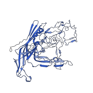 7302_6bx1_b_v1-0
Atomic resolution structure of human bufavirus 3