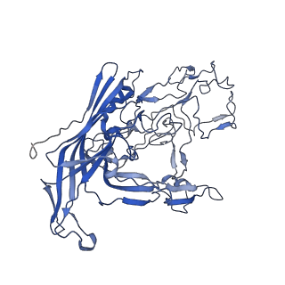 7302_6bx1_b_v1-1
Atomic resolution structure of human bufavirus 3