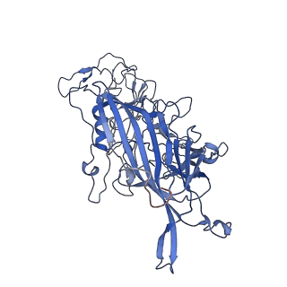 7302_6bx1_c_v1-0
Atomic resolution structure of human bufavirus 3