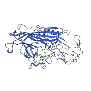 7302_6bx1_d_v1-0
Atomic resolution structure of human bufavirus 3