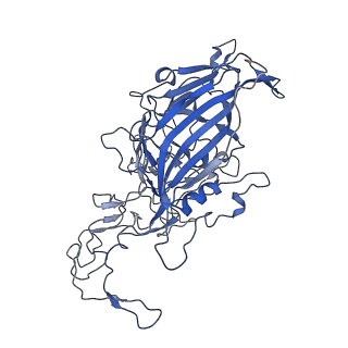 7302_6bx1_e_v1-0
Atomic resolution structure of human bufavirus 3
