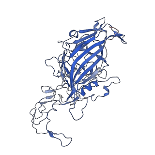 7302_6bx1_e_v1-1
Atomic resolution structure of human bufavirus 3