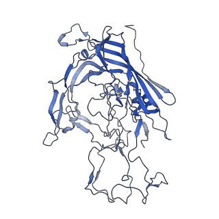 7302_6bx1_f_v1-0
Atomic resolution structure of human bufavirus 3