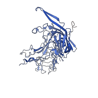 7302_6bx1_g_v1-0
Atomic resolution structure of human bufavirus 3