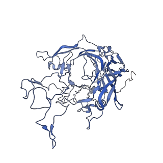 7302_6bx1_h_v1-0
Atomic resolution structure of human bufavirus 3