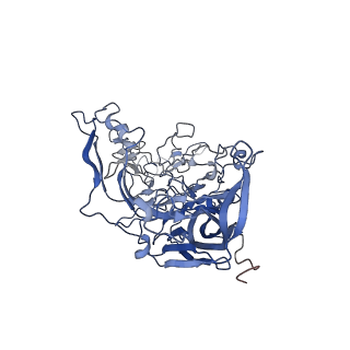 7302_6bx1_i_v1-0
Atomic resolution structure of human bufavirus 3
