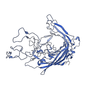 7302_6bx1_j_v1-0
Atomic resolution structure of human bufavirus 3