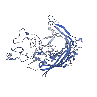 7302_6bx1_j_v1-1
Atomic resolution structure of human bufavirus 3